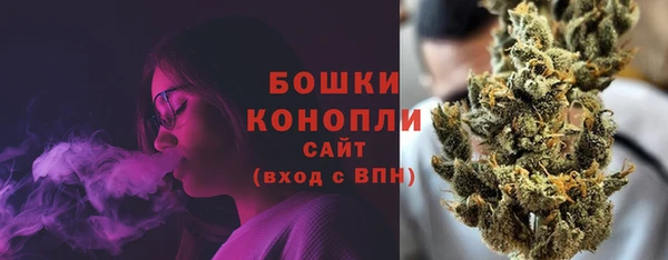 ПСИЛОЦИБИНОВЫЕ ГРИБЫ Вязьма